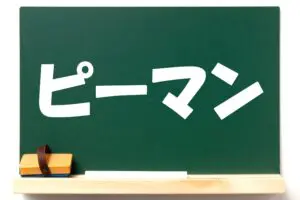 sirabee20250828pi-man1