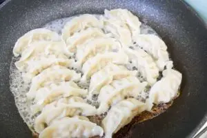 sirabee20250829gyoza3