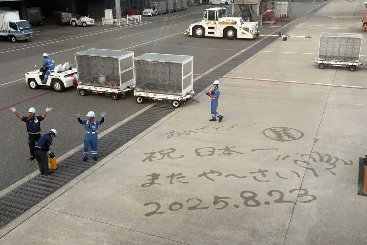 sirabee20250829okinawa2