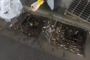 渋谷の排水溝、とんでもない量の吸い殻が見つかり物議　渋谷区に「ポイ捨て対策」を聞いた