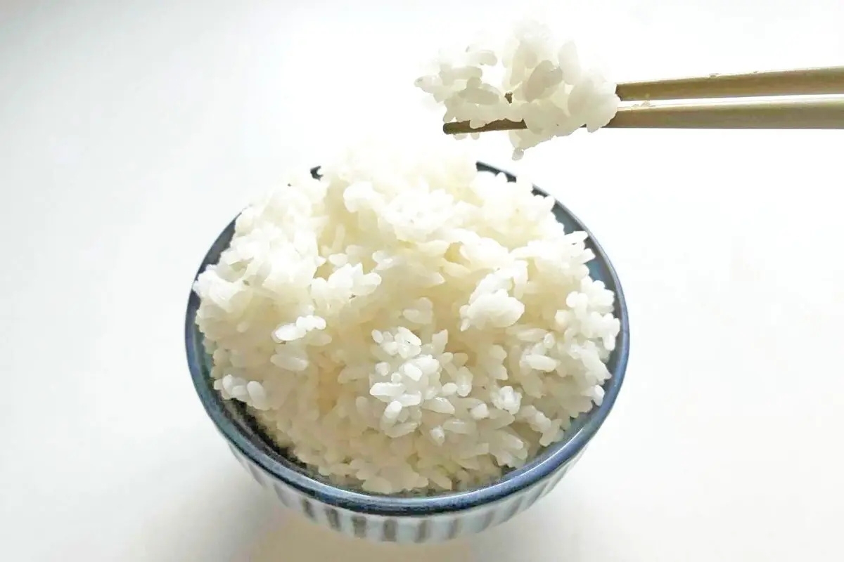 sirabee20250827suihan3