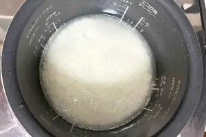 sirabee20250827suihan7