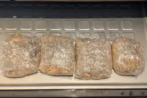 sirabee20250903jalharakomeshi007