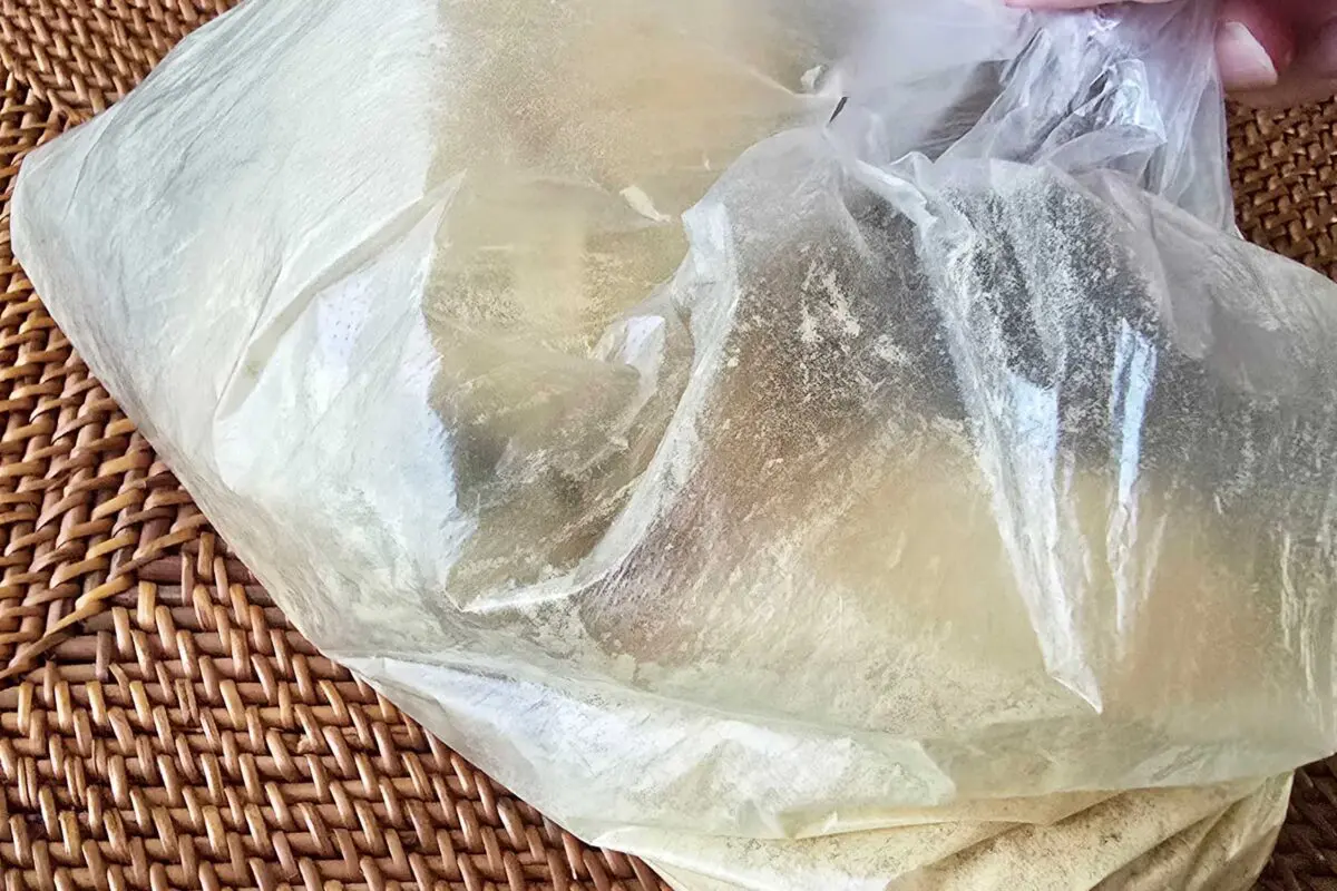 sirabee20250904kinako7