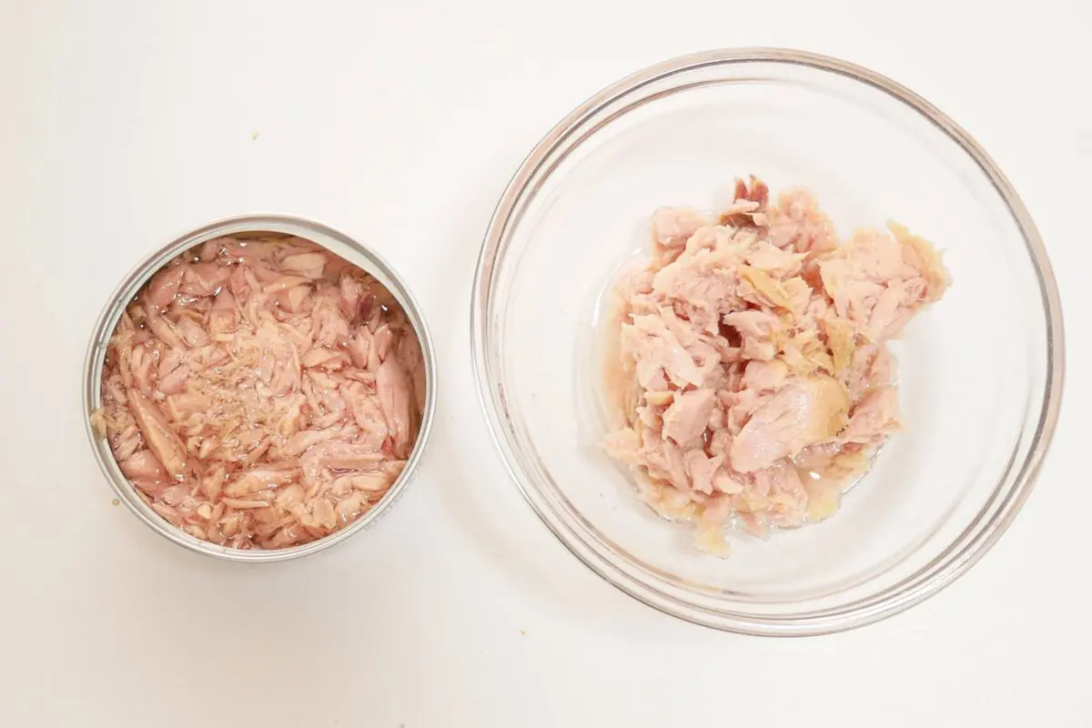 sirabee20250904tuna6