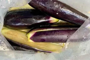 sirabee20250905eggplant4