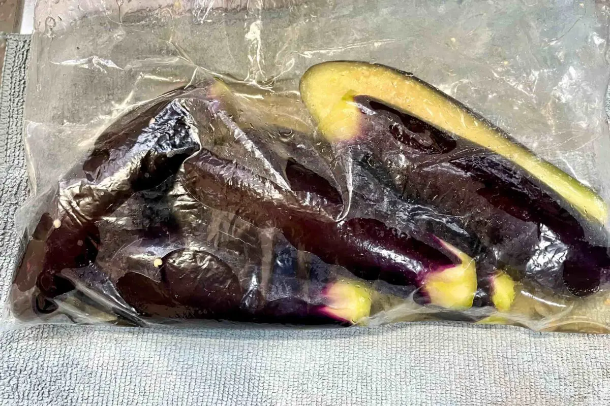 sirabee20250905eggplant5