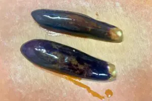 sirabee20250905eggplant6