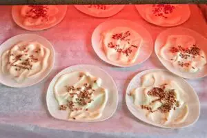 sirabee20250905gyoza3