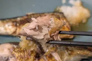 sirabee20250908sanma001