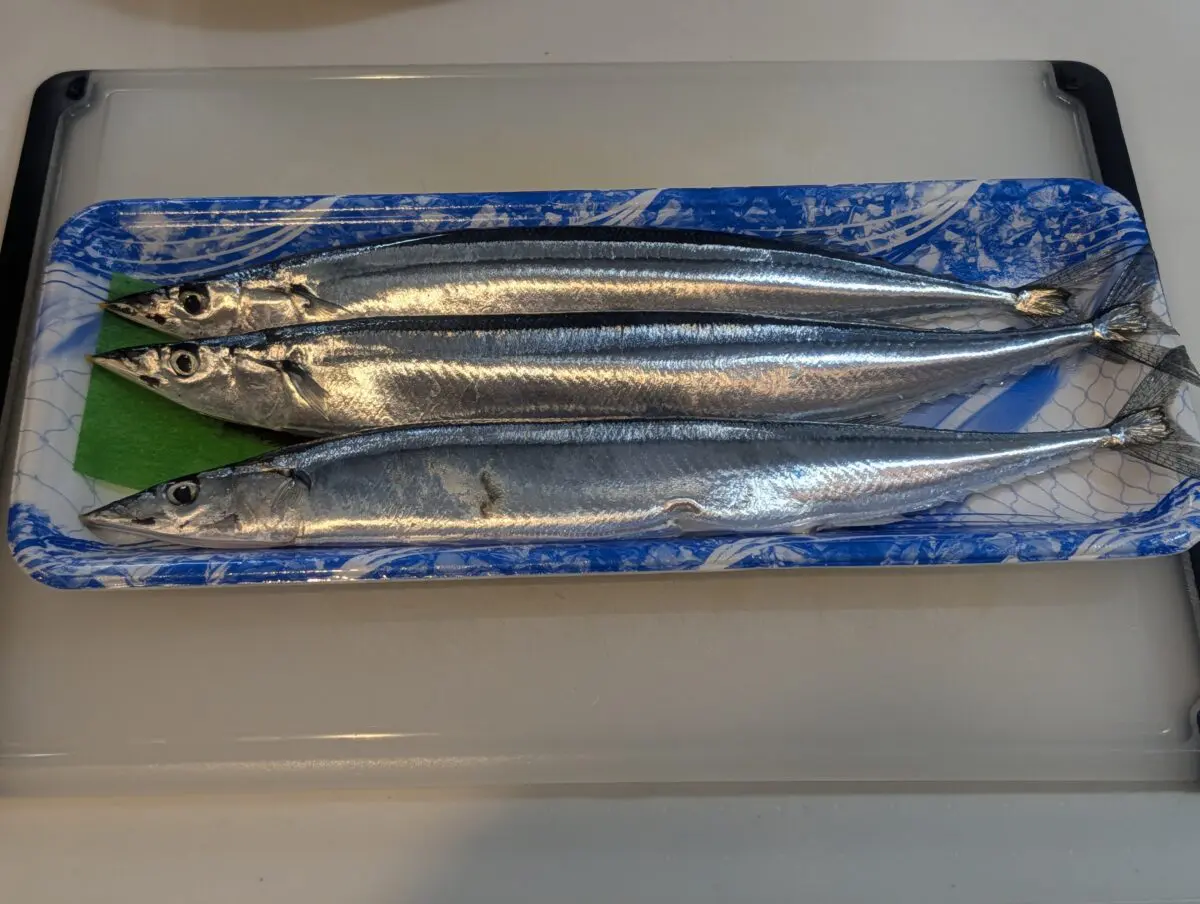 sirabee20250908sanma003