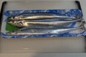 sirabee20250908sanma003