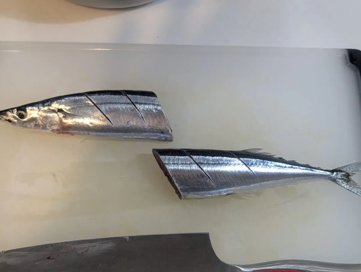 sirabee20250908sanma007