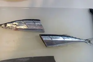 sirabee20250908sanma007