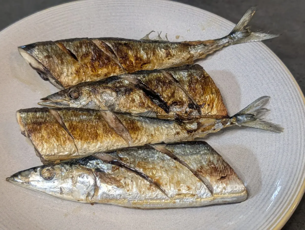 sirabee20250908sanma008