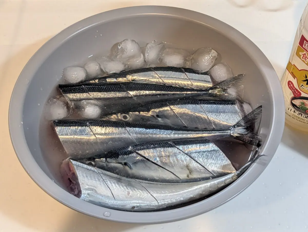 sirabee20250908sanma012