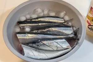 sirabee20250908sanma012