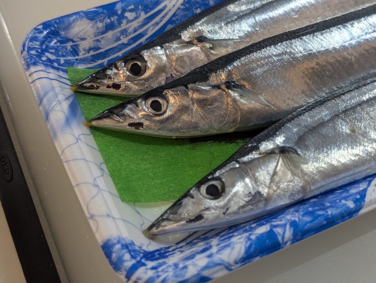 秋刀魚・さんま