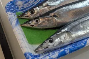 さんまをスーパーで買うなら「あの部分」を見て 「鮮度が非常にいい」プロ目線の見分け方