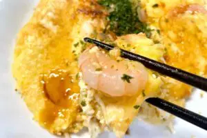 sirabee20250908tofu8