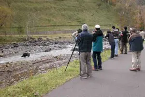 sirabee20250909shiretoko2