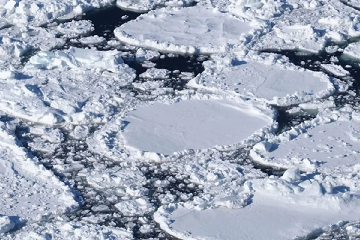 sirabee20250909shiretoko3