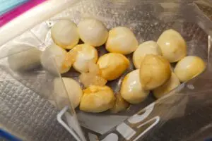 sirabee20250916cheese4