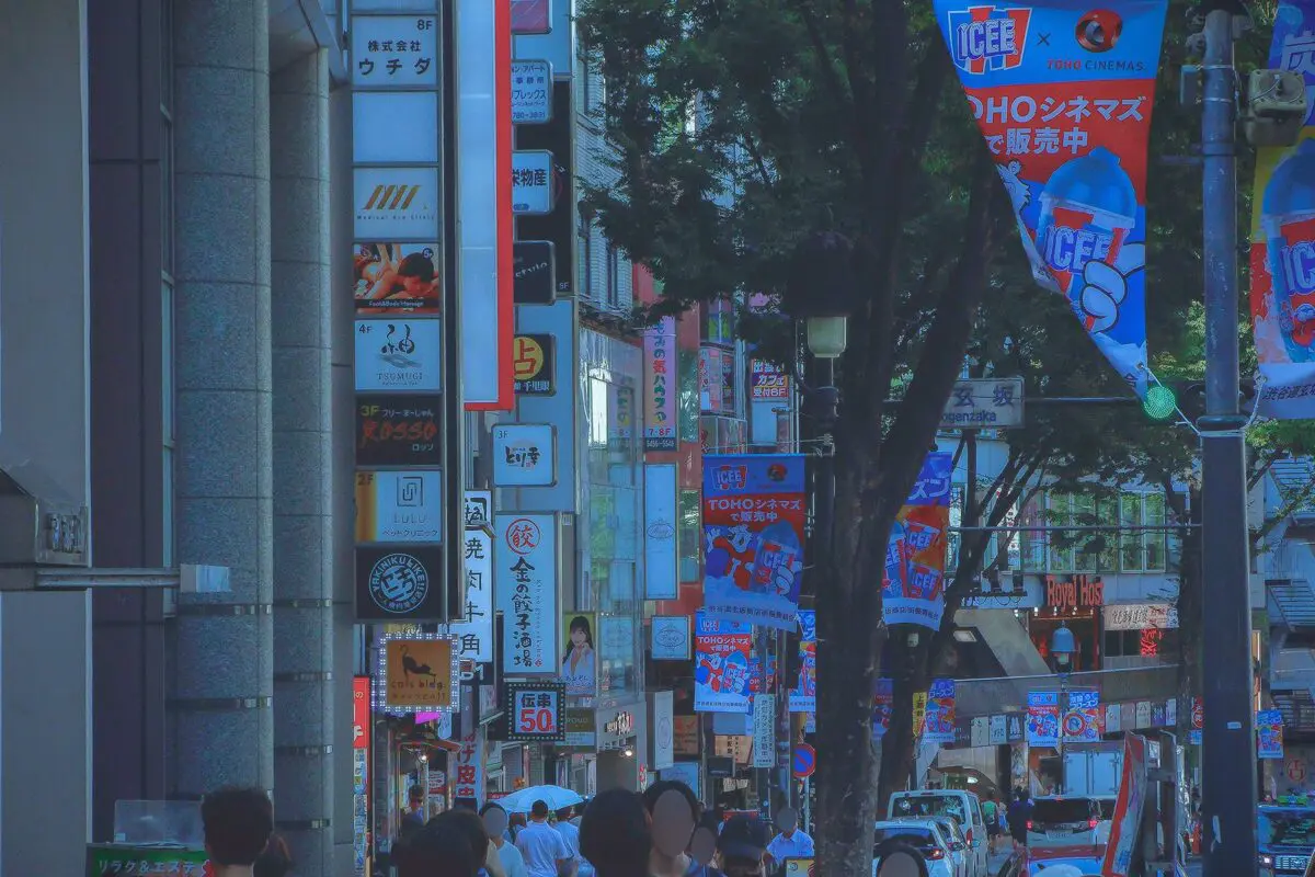 sirabee20250916donki_camera00035