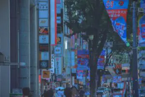 sirabee20250916donki_camera00035