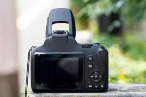 sirabee20250917donki_camera00008