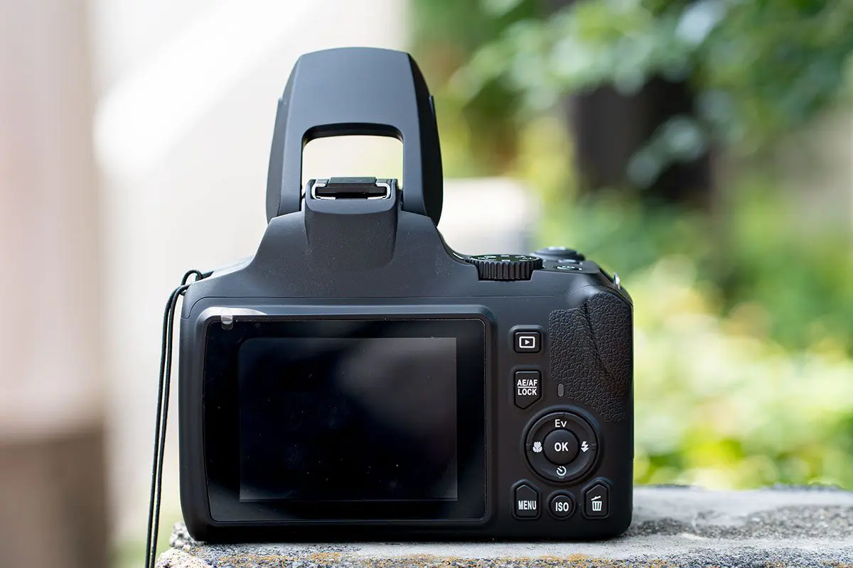 sirabee20250917donki_camera00008