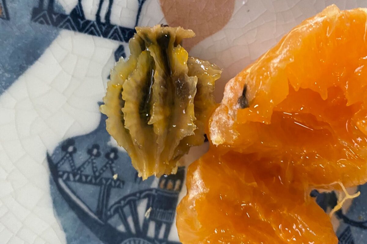 みかんの軸腐病