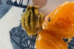 みかんの中から現れた謎の物体、軸腐病が話題に みかんのプロは「食べずに捨てて」と回答