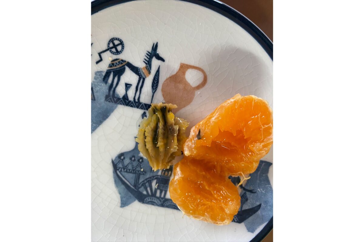 みかんの軸腐病