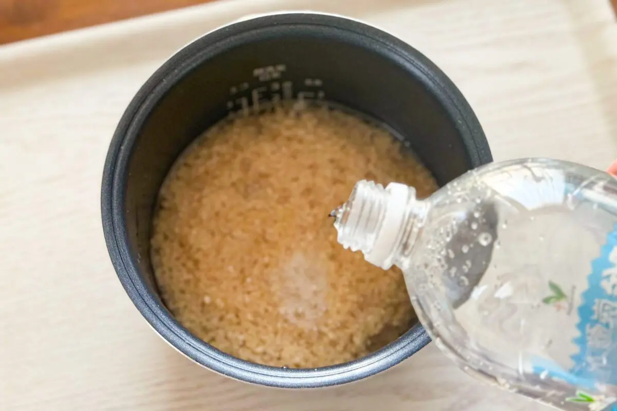 sirabee20250917sabacan4