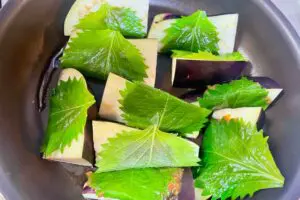 sirabee20250924eggplant4