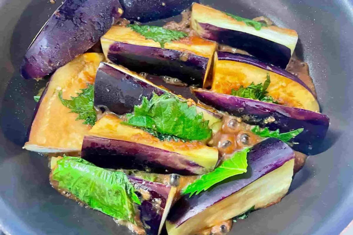 sirabee20250924eggplant5