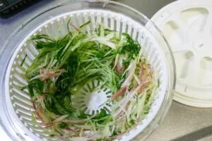 sirabee20250926cucumber_salad9