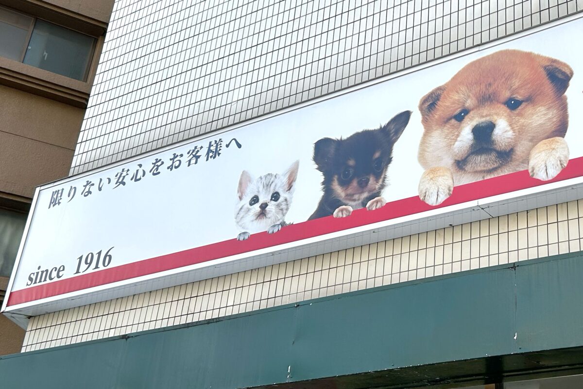 ペットの専門店コジマ