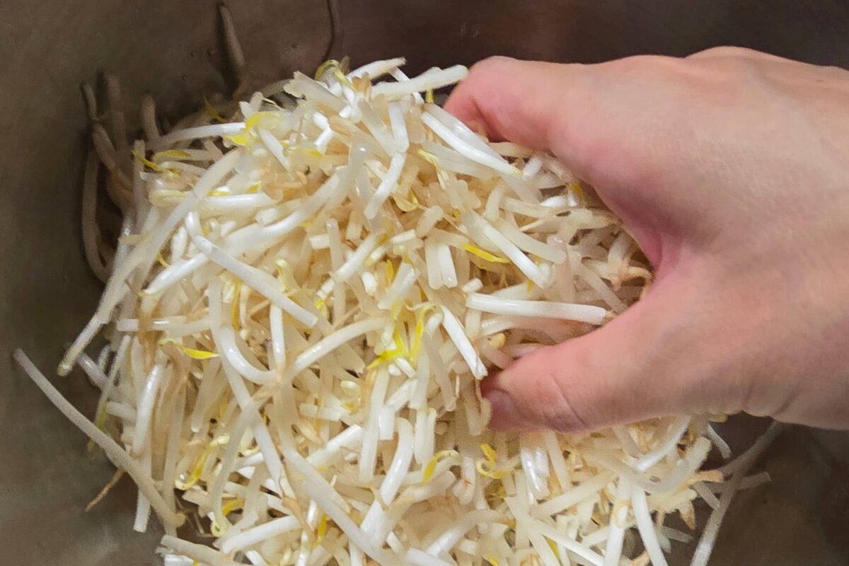 もやしみそつくね・もやし