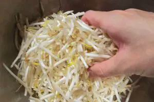 sirabee20250926moyashi2