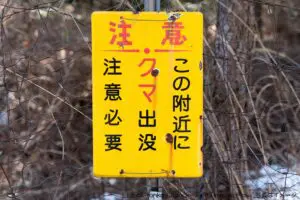 GettyImages-2154397478