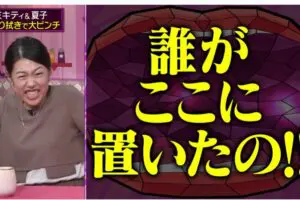 sirabee20251002abema4