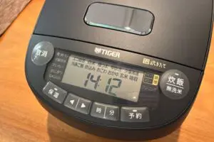 sirabee20251003tiger2