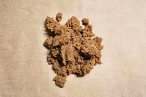 sirabee20251006kinako8