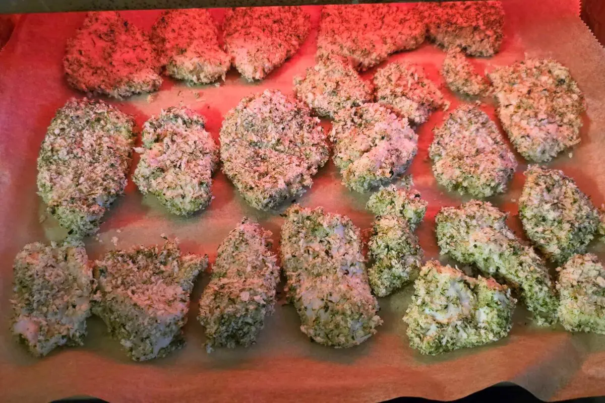 sirabee20251007chicken7