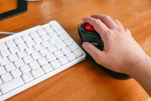 sirabee20251012trackball8