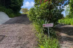 sirabee20251016amakusashiro1