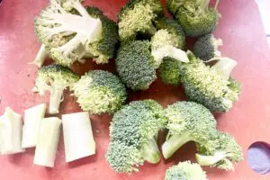 sirabee20251020broccoli8