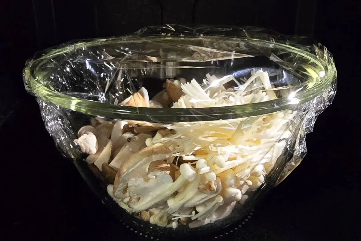 sirabee20251020kinoko3